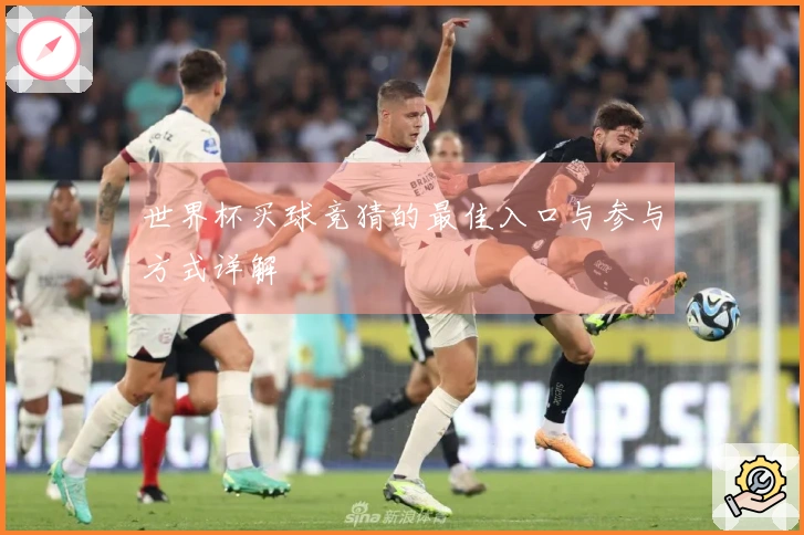 世界杯买球竞猜的最佳入口与参与方式详解