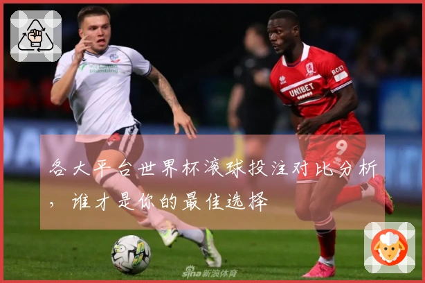 各大平台世界杯滚球投注对比分析，谁才是你的最佳选择