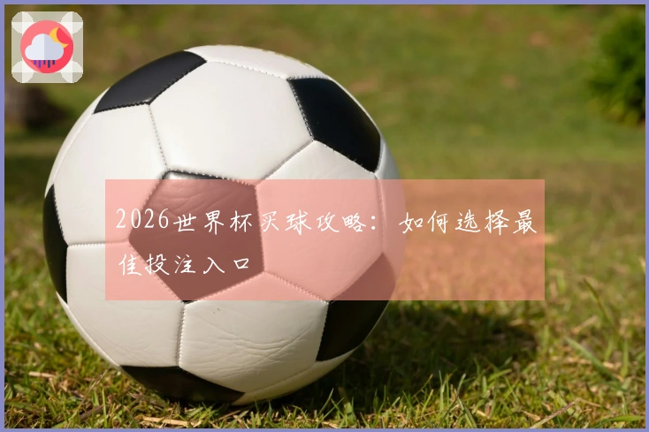 2026世界杯买球攻略：如何选择最佳投注入口