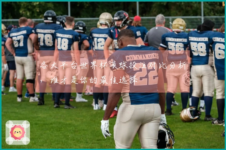 各大平台世界杯滚球投注对比分析，谁才是你的最佳选择