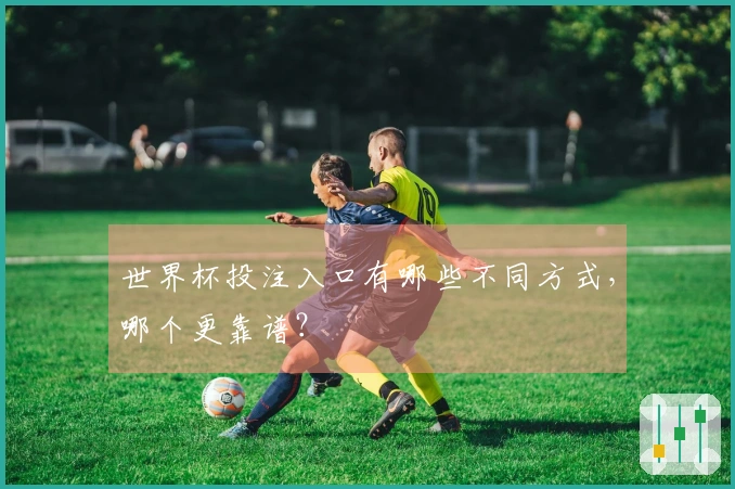 世界杯投注入口有哪些不同方式，哪个更靠谱？