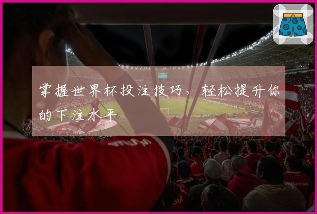 掌握世界杯投注技巧，轻松提升你的下注水平