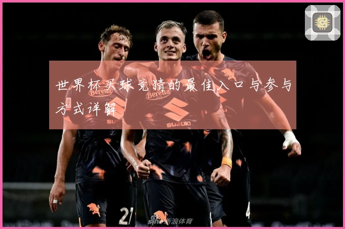 世界杯买球竞猜的最佳入口与参与方式详解
