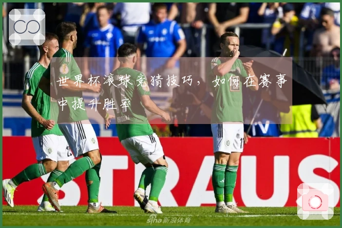 世界杯滚球竞猜技巧，如何在赛事中提升胜率