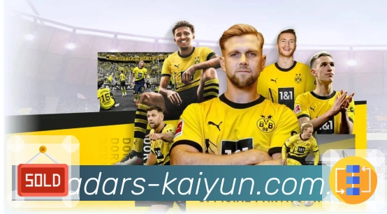 开云APP 官方推荐图